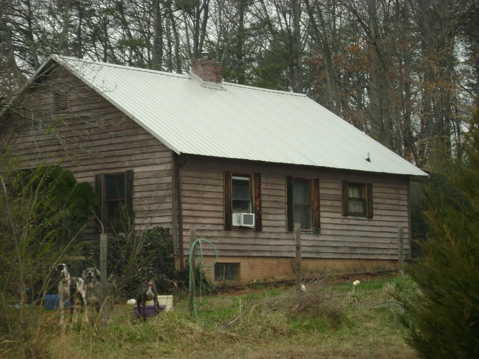 White metal roof on an old wood sided farmhouse, from a Asphalt Shingle Roof Repair job in Chaptico